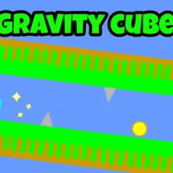 Play Gravity Cube